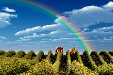 California's 462,000-Acre 'Field of Dreams' californias-462000acre-field-of-dreams