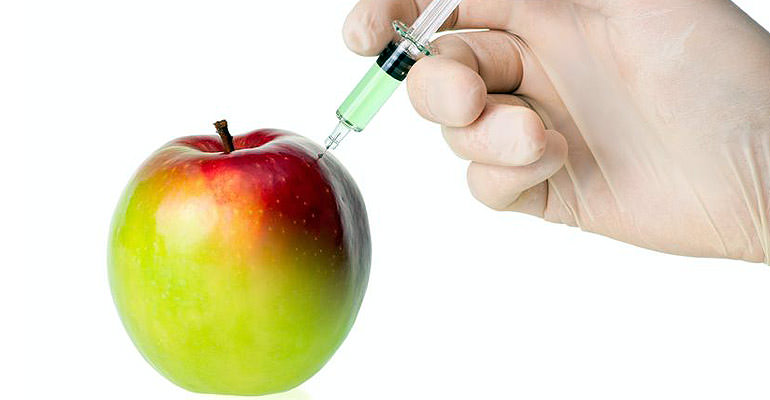 Are Olives Next in the GMO Fight? are-olives-next-in-the-gmo-fight