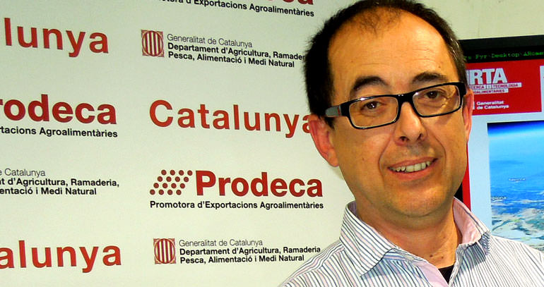 How Expert Advice is Helping Catalonia’s Olive Oil Sector how-expert-advice-is-helping-catalonias-olive-oil-sector