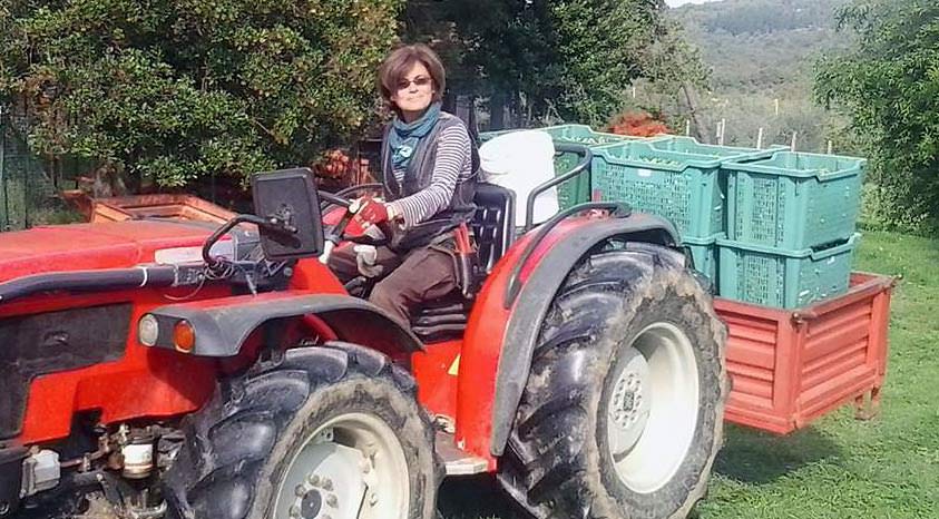Organic Farmers Cautiously Optimistic organic-farmers-cautiously-optimistic