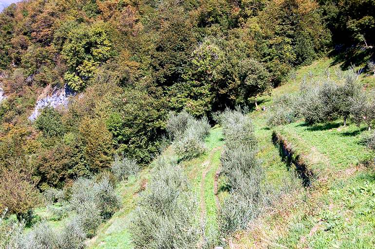 Heroic Cultivation on Lake Como heroic-cultivation-on-lake-como