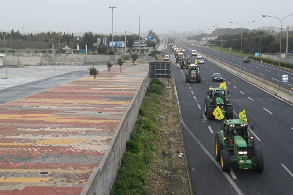 Farmers Protest Proposed EU Law on Olive Oil Labeling farmers-protest-proposed-eu-law-on-olive-oil-labeling