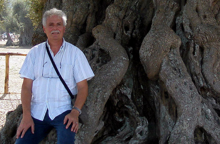 On the Preservation and Maintenance of Monumental Olive Trees on-the-preservation-and-maintenance-of-monumental-olive-trees
