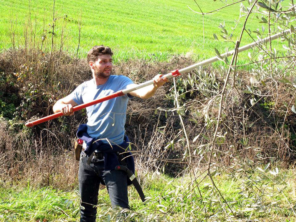 Italy Crowns Pruning Champ italy-crowns-pruning-champ