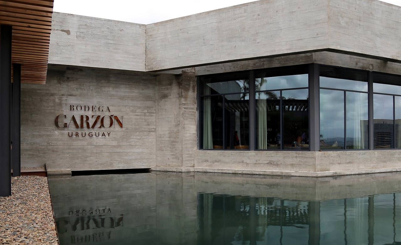 Colinas de Garzón: Uruguay's Crown Jewel of EVOO colinas-de-garzon-uruguays-crown-jewel-of-evoo