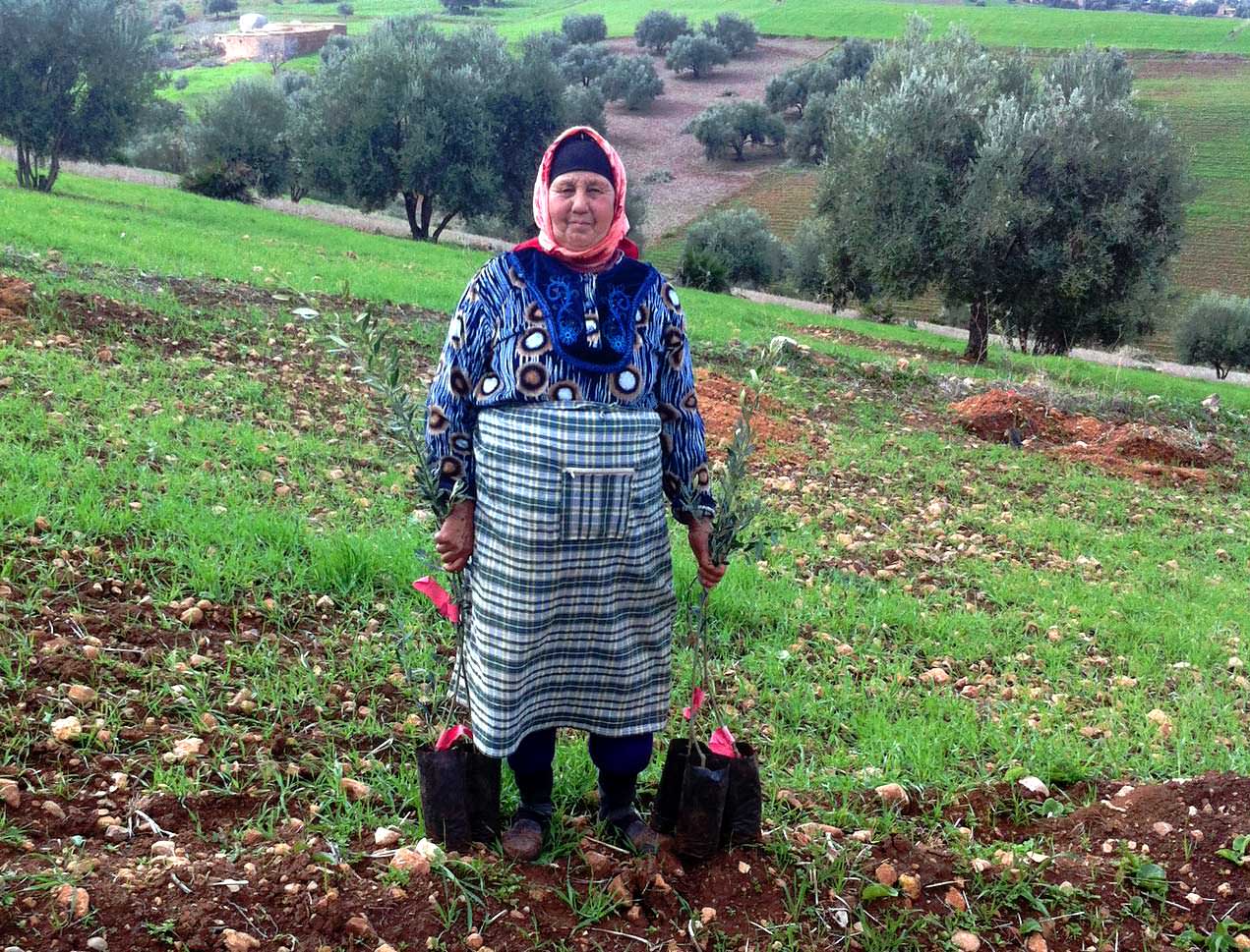 U.N. Helps Moroccan Cooperative Boost Production Despite Drought un-helps-moroccan-cooperative-boost-production-despite-drought