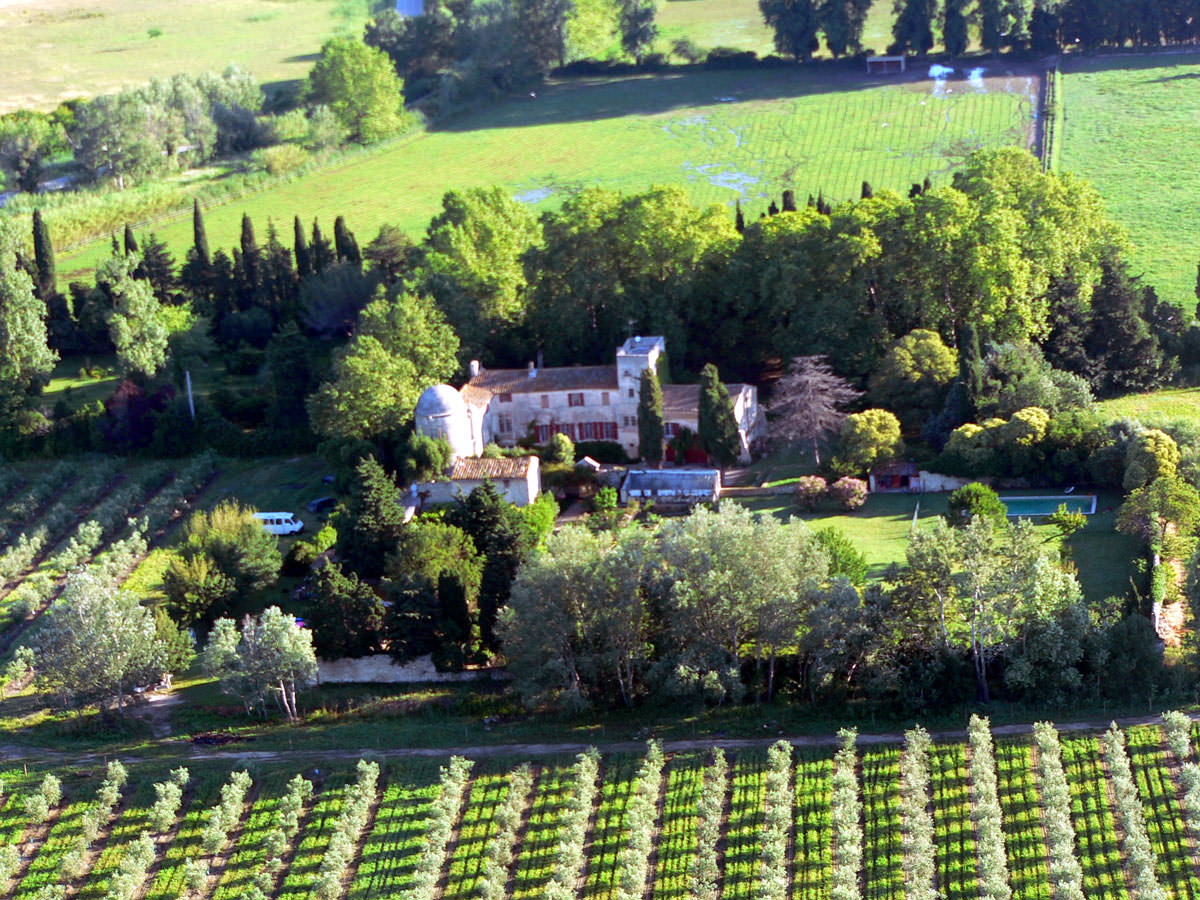 Notes from Panisse: Early Harvest and 'Fruite Noir' notes-from-panisse-early-harvest-and-fruite-noir