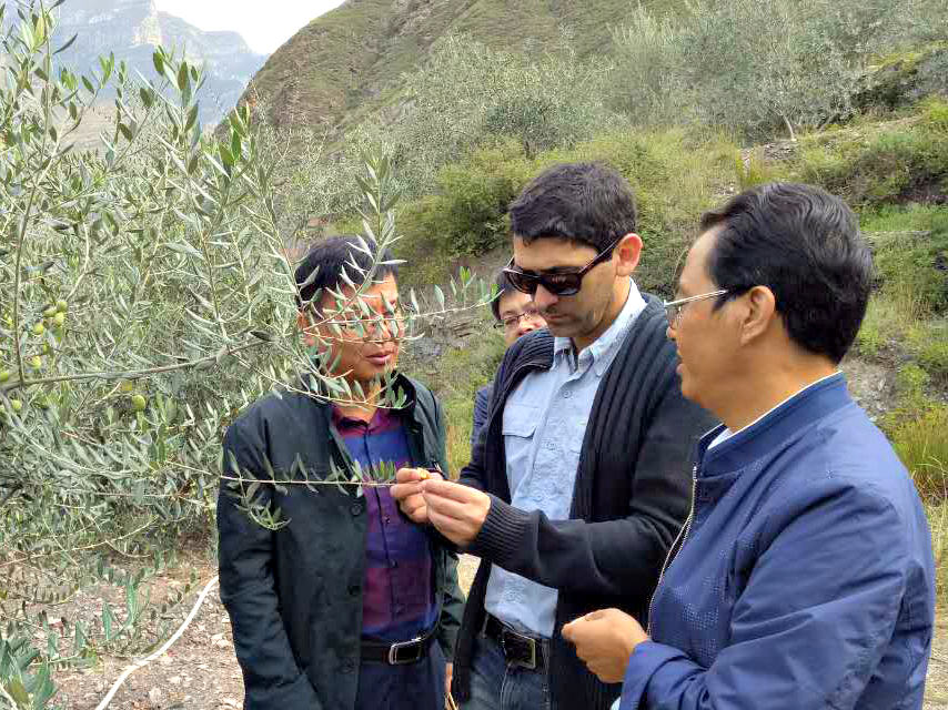 The Man Behind China's Unlikely Gold at NYIOOC the-man-behind-chinas-unlikely-gold-at-nyiooc