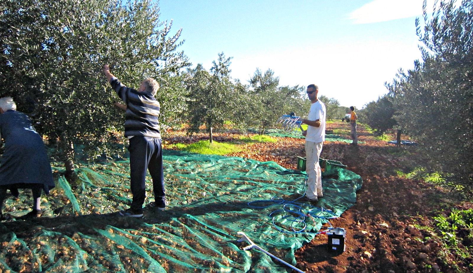 Croatians' Pursuit of Quality Pays Off at NYIOOC croatians-pursuit-of-quality-pays-off-at-nyiooc