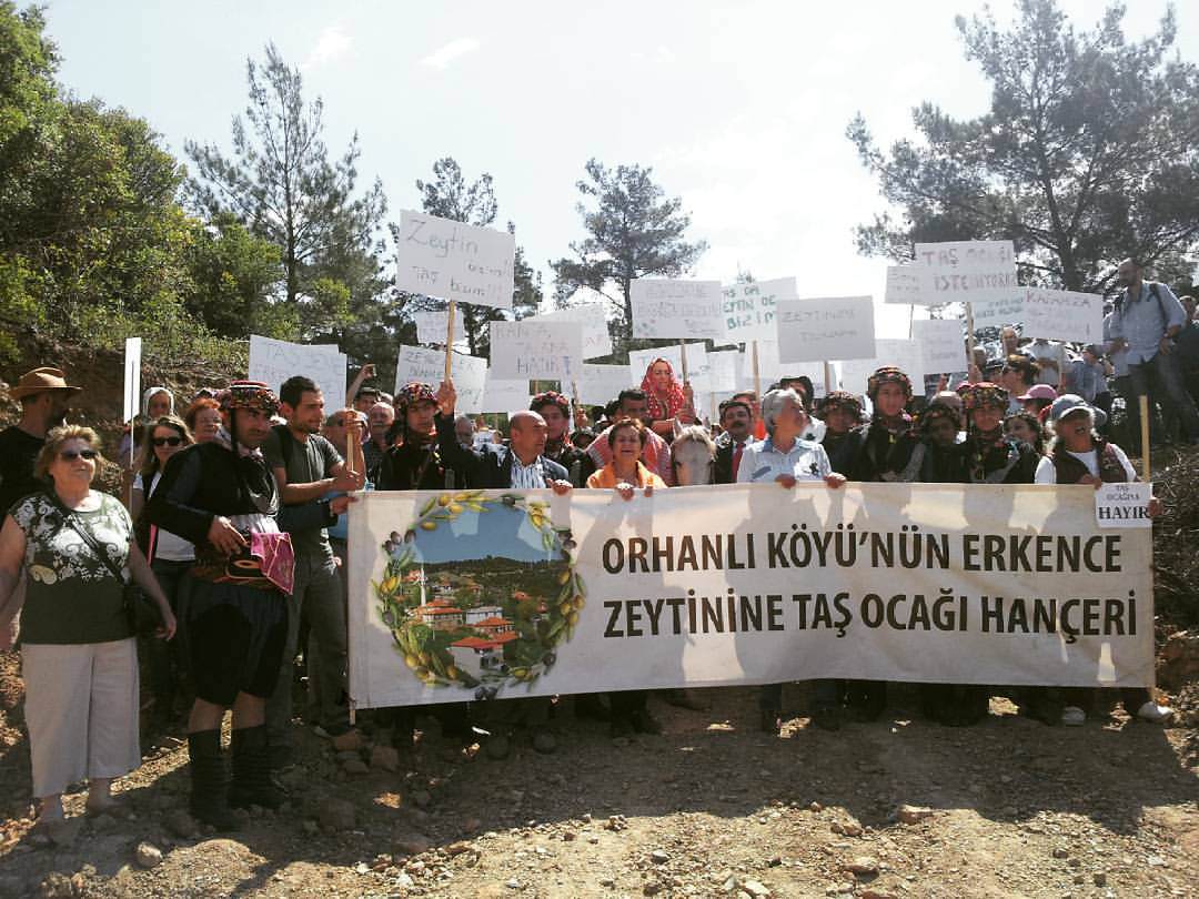 Turkish Government Backtracks Proposed Changes to 'Olive Law' turkish-government-backtracks-proposed-changes-to-olive-law