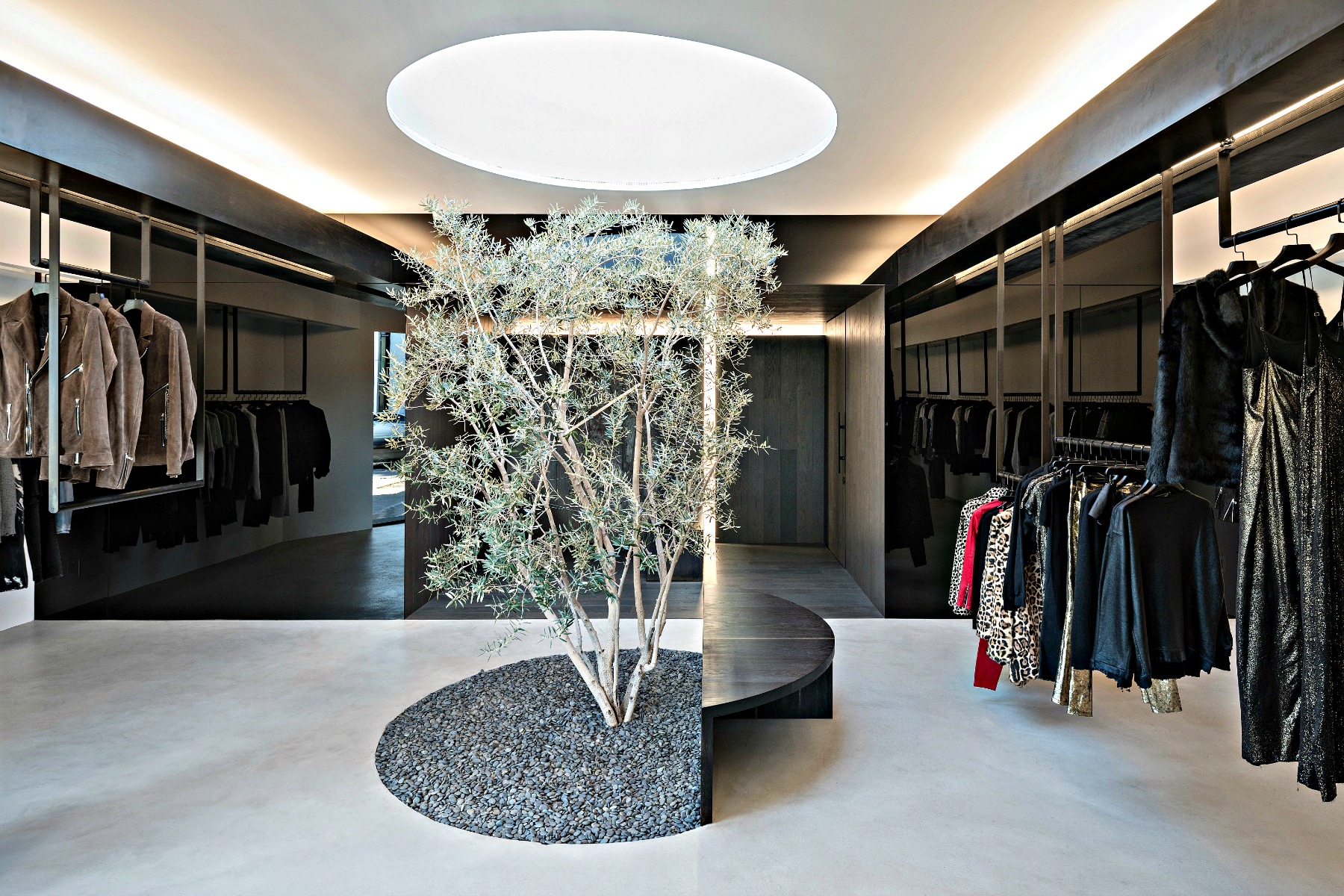 An Olive Tree Takes Center Stage in L.A. Boutique an-olive-tree-takes-center-stage-in-la-boutique