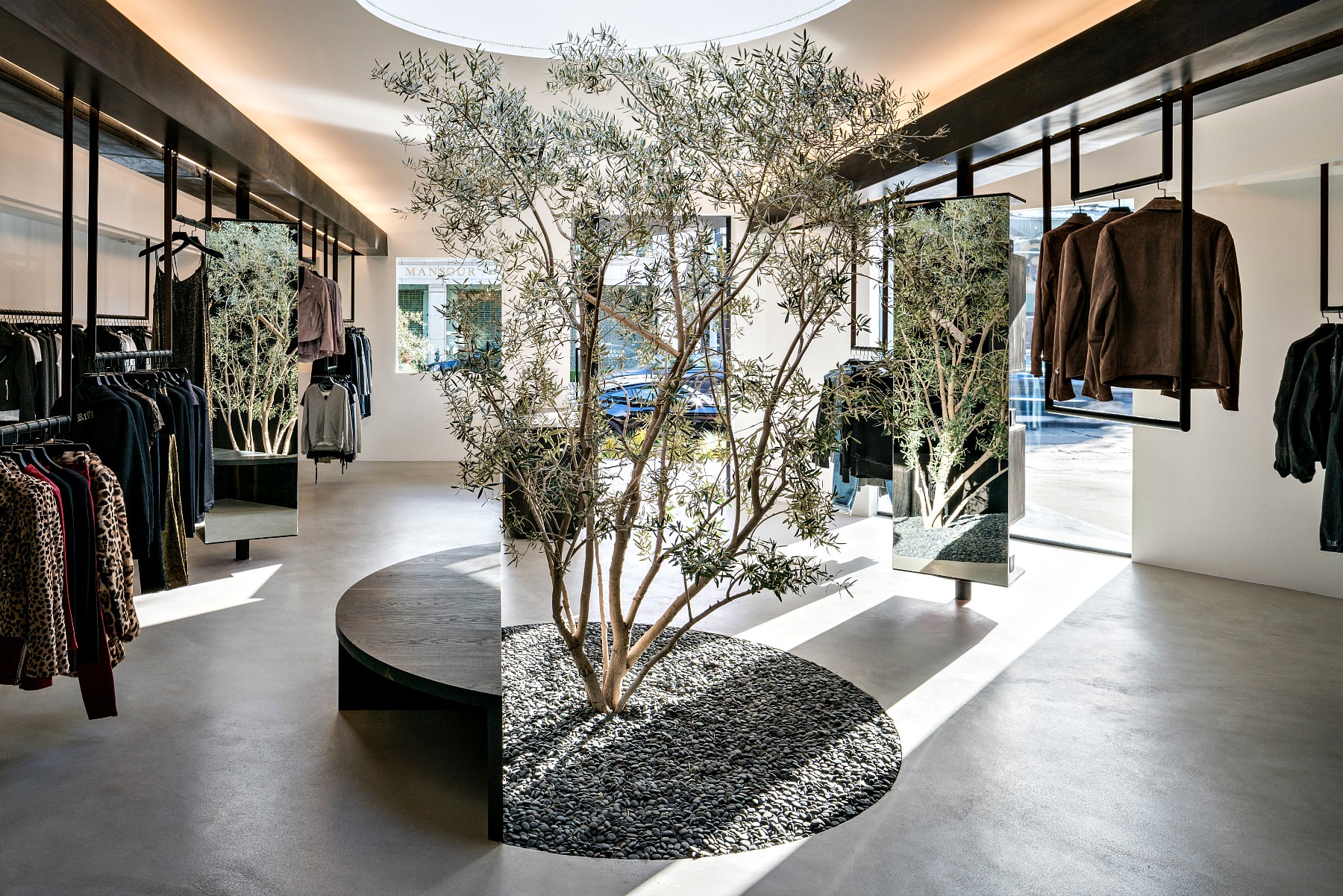 An Olive Tree Takes Center Stage in L.A. Boutique an-olive-tree-takes-center-stage-in-la-boutique